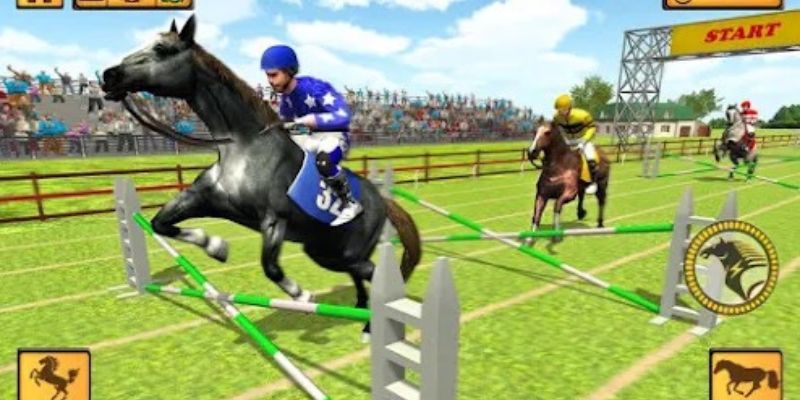 Chính sách bảo mật khi chơi đua ngựa bingo hayDay