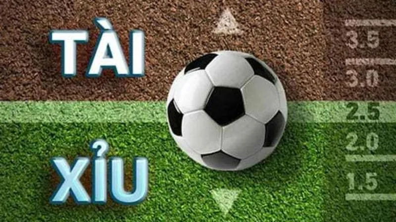Khám phá các yếu tố ảnh hưởng đến cách cá độ bóng đá tài xỉu